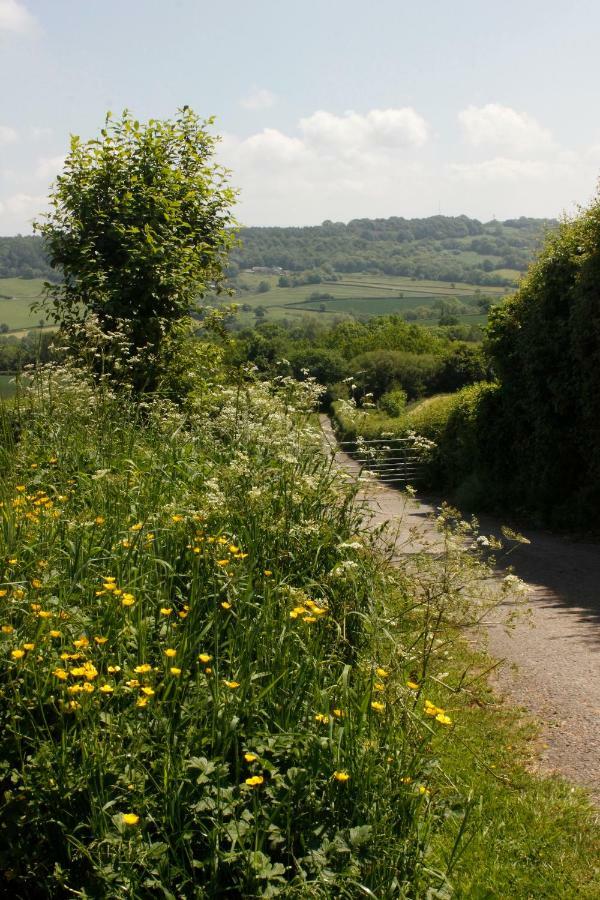 Odle Farm Villa Honiton Eksteriør billede