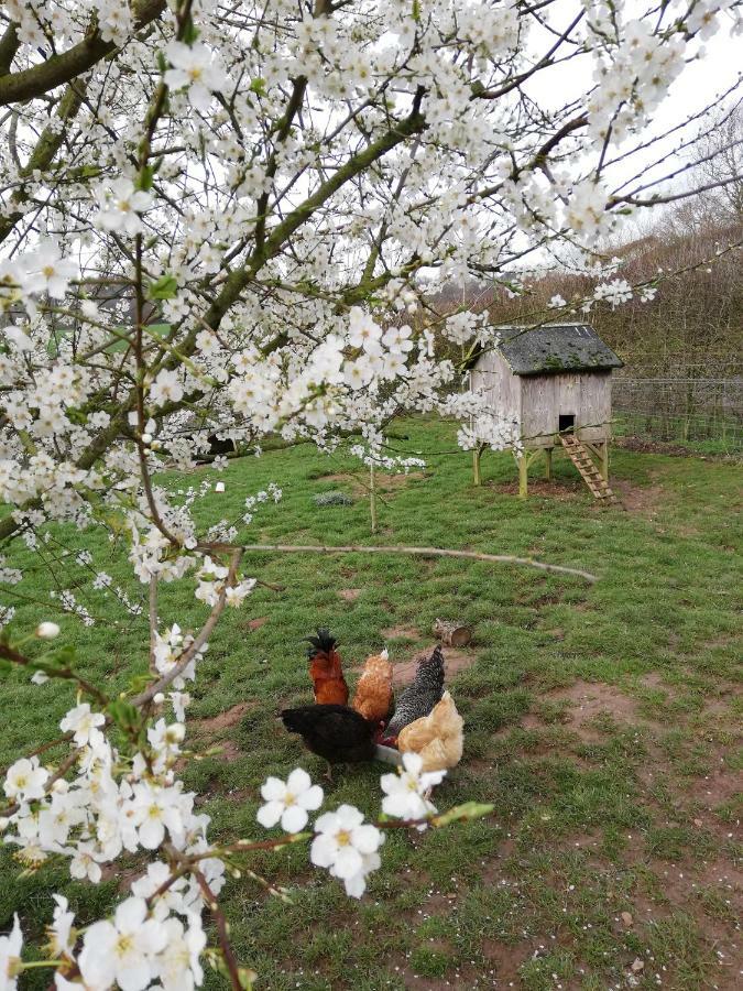 Odle Farm Villa Honiton Eksteriør billede
